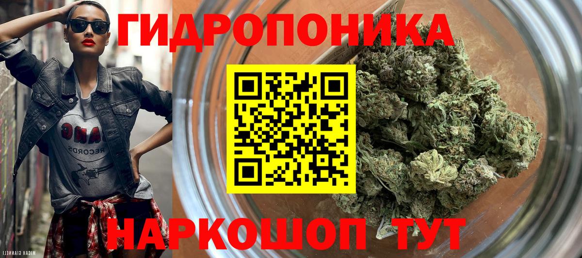 Канабис Bruce Banner Донской
